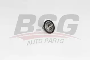 BSG 16125006 Termostat