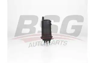 BSG 75130014 Yakıt Filtresi