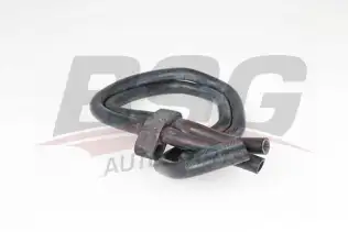 BSG 65700469 Termostat Hortumu