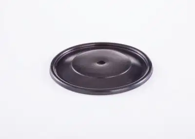 BOSCH 2420503002 Diyafram - 2. Görsel