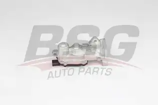 BSG 65836014 Egr Valfi