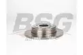 BSG 40210011 Fren Diski Arka
