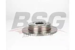 BSG 40210011 Fren Diski Arka