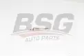 BSG 30870007 Isıtma Bujisi