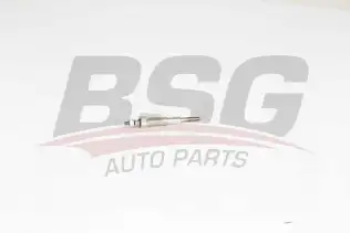 BSG 30870007 Isıtma Bujisi