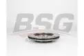 BSG 75210003 Fren Diski Ön