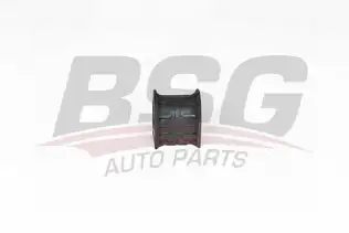 BSG 75705039 Viraj Demir Lastiği Arka
