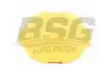 BSG 65551004 Radyatör Yedek Su Depo Kapağı