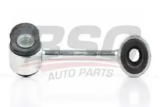 BSG 60310174 Viraj Askı Rotu Ön Sol