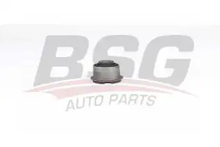 BSG 30700449 Salıncak Üst Burcu