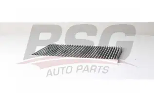 BSG 65145017 Polen Filtresi