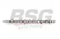 BSG 90108003 Eksantrik Mili