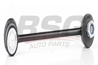 BSG 40310071 Viraj Askı Rotu Ön Sağ