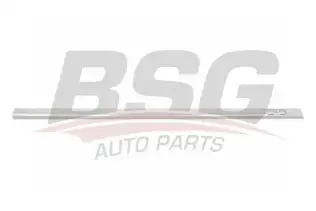 BSG 65925003 Kapı Bandı Ön Sol