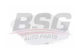 BSG 65922079 Far Yıkama Kapağı Sağ