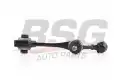 BSG 60310144 Rotilli Kol Alt Sağ