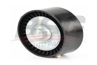 BSG 15615009 V Kayış Gergi Rulmanı