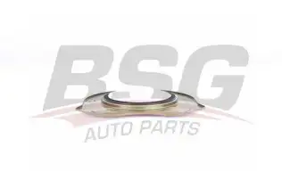 BSG 30116142 Krank Keçesi Arka