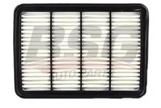 BSG 30137006 Hava Filtresi