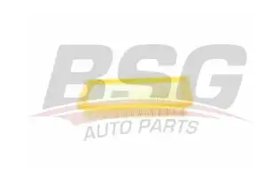 BSG 40135005 Hava Filtresi