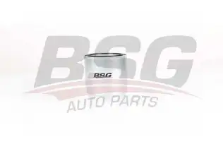 BSG 40130011 Yakıt Filtresi