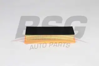 BSG 25135014 Hava Filtresi