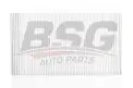 BSG 60145001 Polen Filtresi