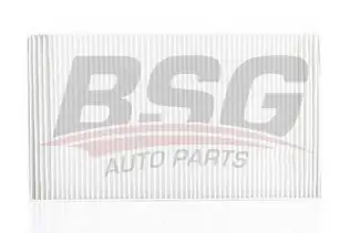 BSG 60145001 Polen Filtresi