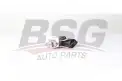 BSG 15836003 Egr Valfi