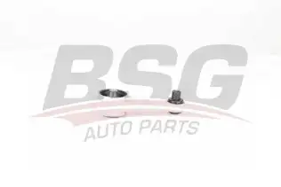 BSG 75705032 Motor Takozu Arka