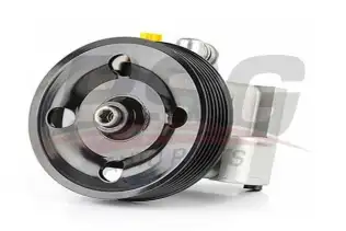 BSG 30355008 Direksiyon Pompası