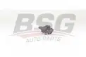 BSG 25310028 Rotil Alt