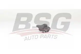 BSG 25310028 Rotil Alt
