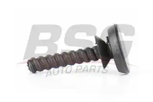BSG 30991002 Cam Hava Izgara Vıdası Ön