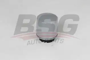 BSG 90140020 Yağ Filtresi