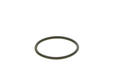 BOSCH F00R0P0166 O-Ring - 14. Görsel