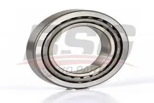 BSG 30605018 Porya Rulmanı Arka