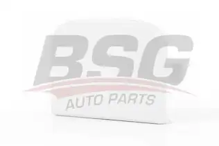 BSG 30922055 Çeki Demir Kapağı Ön