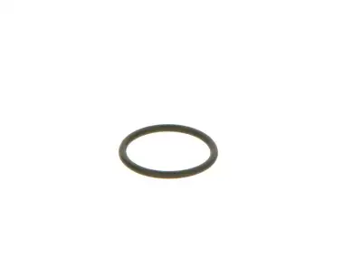 BOSCH F00VC38042 O-Ring - 10. Görsel