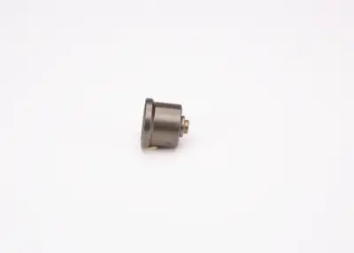 BOSCH 2418554063 Pompa Valfi - 8. Görsel