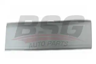 BSG 30924036 Kapı Bandı Ön Sağ