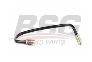 BSG 30725014 Mazot Borusu