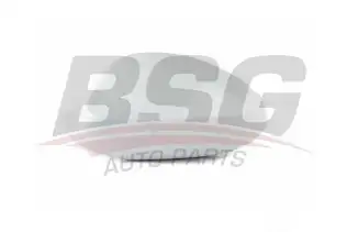 BSG 15915016 Ayna Kapağı Sol