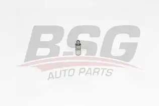 BSG 60122004 Supap Itıcısı