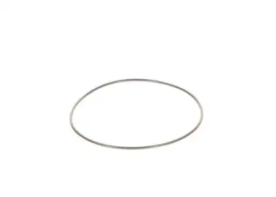 BOSCH 2440210044 O-Ring - 3. Görsel
