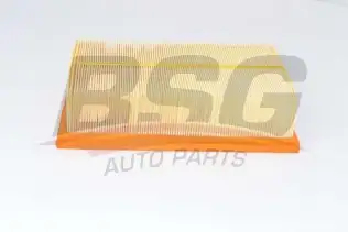 BSG 90135020 Hava Filtresi