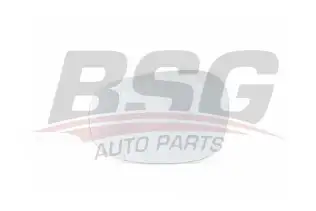 BSG 15910015 Ayna Camı Sol