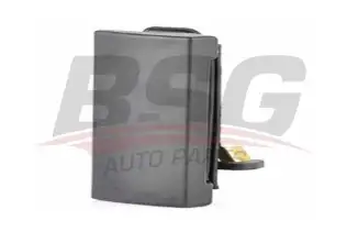 BSG 30970022 Kapı Dış Açma Kolu Arka