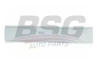 BSG 30924049 Kapı Kusağı Arka Sol