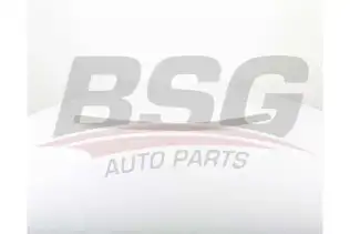 BSG 70925010 Kapı Bandı Ön Sol